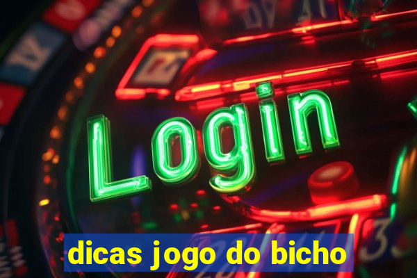 dicas jogo do bicho